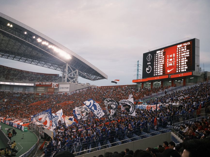 zaoyi
